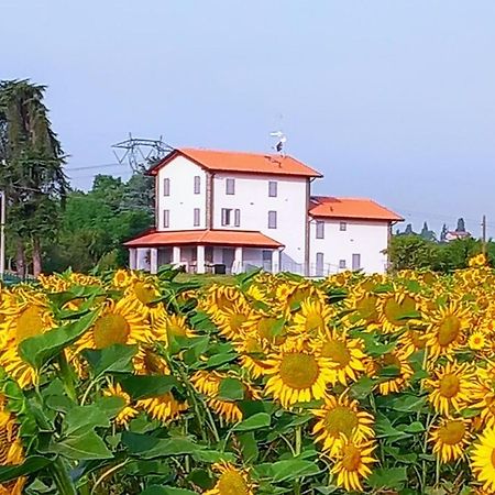 La Collinetta B&B Crespellano Buitenkant foto
