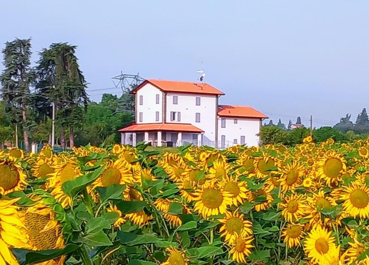 La Collinetta B&B Crespellano Buitenkant foto