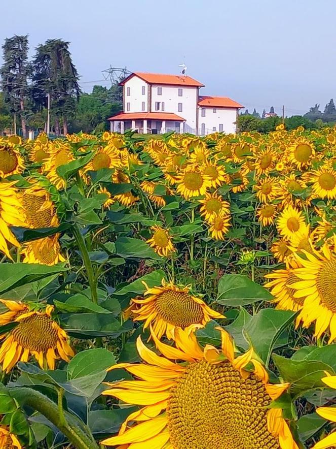 La Collinetta B&B Crespellano Buitenkant foto