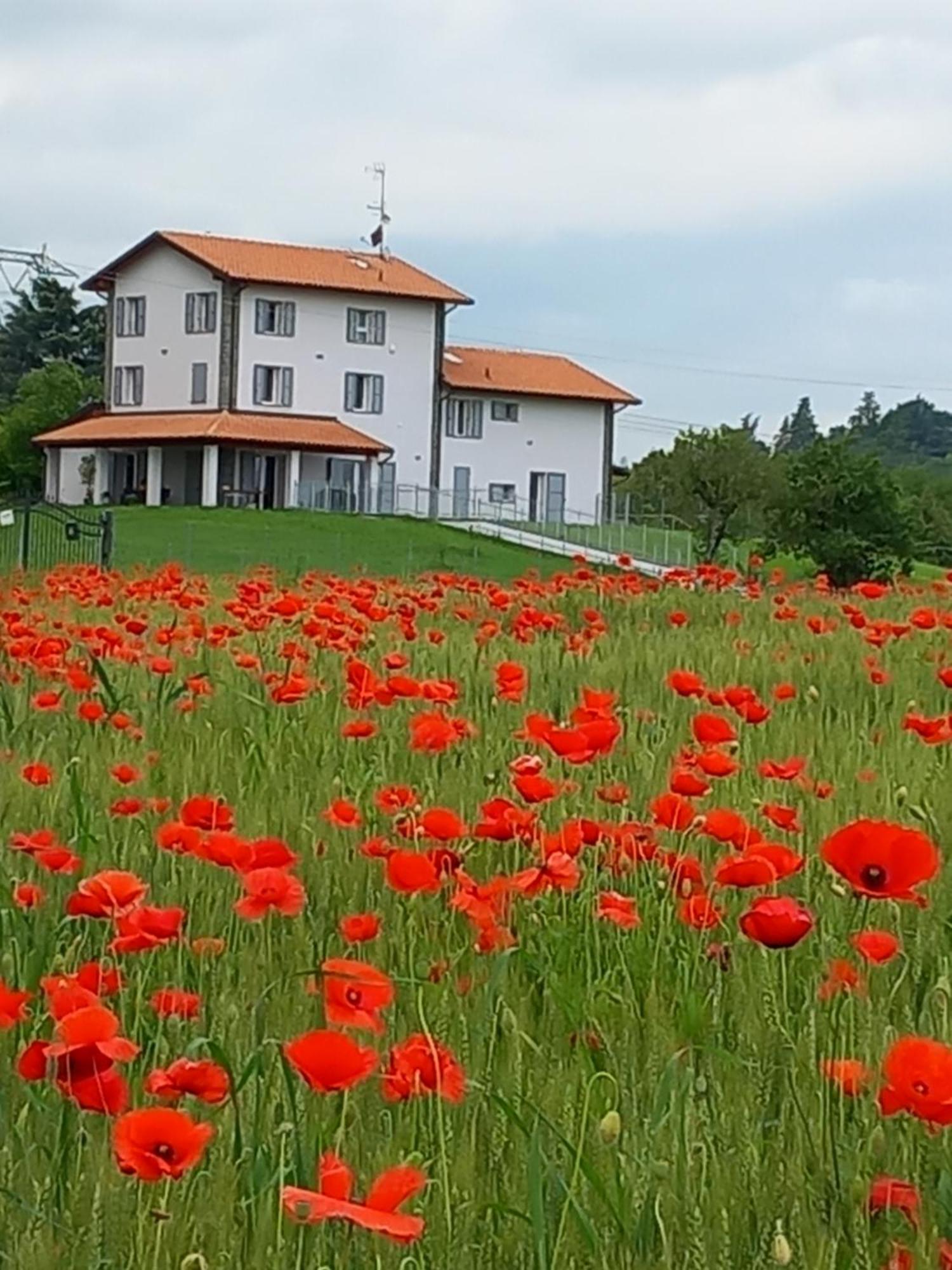 La Collinetta B&B Crespellano Buitenkant foto